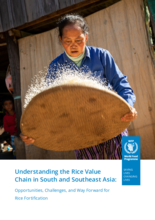 Understanding the Rice Value Chain in South and Southeast Asia: Opportunities, Challenges, Way Forward for Rice Fortification