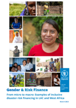 2023 - Gender & Risk Finance - From Micro to Macro: Examples of Inclusive Disaster Risk Financing in LAC and West Africa 