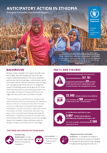 Anticipatory Action in Ethiopia: Drought Activation For Somali Region