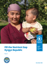 Fill the Nutrient Gap - Kyrgyz Republic