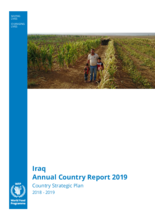 WFP Iraq 2019 Annual Country Report