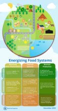 Energizing Food Systems – Infographic