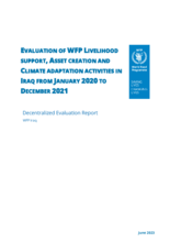 Iraq, Evaluation of WFP livelihood support, asset creation, and climate adaption activities (Jan 2020-Dec 2021)