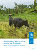 Understanding the Rice Value Chain in the Philippines: Defining the Way Forward for Rice Fortification