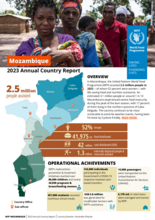 Annual Country Reports - Mozambique