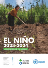 El Niño in Latin America and the Caribbean: 2023-2024 