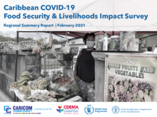 Caribbean COVID-19 Food Security and Livelihoods Impact Survey - Round 3 - February 2021