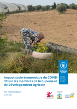 L'impact du COVID-19 sur la sécurité alimentaire des membres des Groupements de Développement Agricole en Tunisie