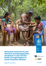 Scoping Study on Enhancing Food Security and Nutrition and Managing Risks and Shocks in Asia and the Pacific Through Support to Social Protection Systems – Regional Synthesis