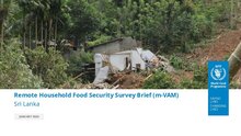Sri Lanka: Remote Household Food Security Surveys