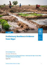 Preliminary Resilience Evidence from Niger – 2023