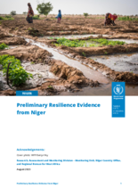 Preliminary Resilience Evidence from Niger – 2023