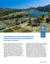 FFA: Building climate resilience for food security and nutrition in  Masvingo, Zimbabwe - 2020