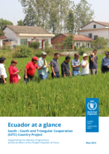 Ecuador at a glance – South-South and Triangular Cooperation Country Project 
