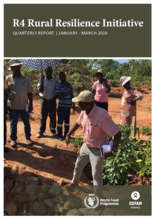 R4 Rural Resilience Initiative - Quarterly Report Jan-Mar 2019