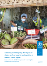 Assessing and mitigating the impact of shocks on food security and nutrition in the Asia Pacific region: Lessons from the COVID-19 response for informing the Global Food Crisis response