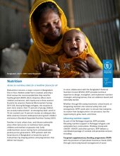 Bangladesh factsheets