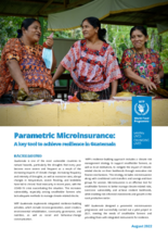 Parametric Microinsurance:  A key tool to achieve resilience in Guatemala -2022
