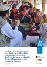 Scoping Study on Enhancing Food Security and Nutrition and Managing Risks and Shocks in Asia and the Pacific Through Support to Social Protection Systems – Pakistan