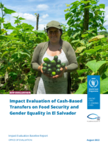 El Salvador, Cash-Based Transfers on Food Security and Gender Equality: Impact Evaluation