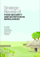 2016 - Strategic Review of Food Security and Nutrition in Bangladesh
