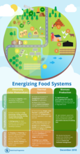 Energising Food Systems