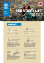 Food Security Alert – Special Bulletin, Timor-Leste