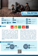 Annual Country Reports - Palestine