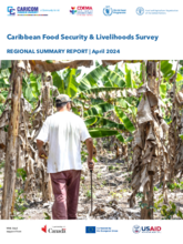 Caribbean Food Security & Livelihoods Survey (April 2024)