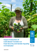 El Salvador, Cash-Based Transfers on Food Security and Gender Equality: Impact Evaluation