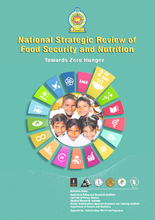 2017 - Strategic Review of Food Security and Nutrition in Sri Lanka