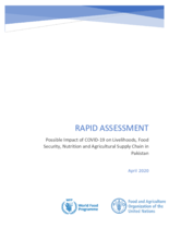 Rapid Assessment - Possible Impact of the Novel Coronavirus Pandemic (COVID-19) 