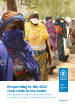 Responding to the 2022 food crisis in the Sahel: Leveraging and strengthening social protection to mitigate the impact of current and future crises