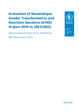Mozambique, Gender Transformative and Nutrition Sensitive (GTNS) Programme: Evaluation