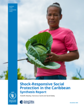 Research Programme on Shock-Responsive Social Protection in the Caribbean