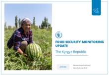 Kyrgyz Republic: Remote Household Food Security Surveys