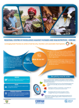 CERFAM Fact Sheet: Leveraging Good Practices to achieve Food Security, Nutrition, and sustainable Food Systems