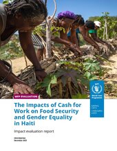 Haiti, The Impacts of Cash for Work on Food Security and Gender Equality: Impact evaluation