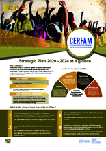  CERFAM Strategic Plan 2020-2024