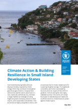 Climate Action & Building Resilience in Small Island Developing States 