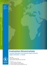 Burkina Faso, Gender: A thematic evaluation