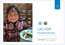 Lao PDR: Remote Household Food Security Surveys