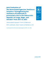 Joint Evaluation of the Rome-based Agencies’ Resilience Initiative “Strengthening the  resilience of livelihoods in  protracted crisis in the Democratic Republic of Congo, Niger, and Somalia” 2017-2023