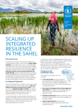 Scaling up Integrated Resilience in the Sahel – December 2022