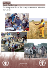 FAO/WFP Joint Guidelines for Crop and Food Security Assessment Missions (CFSAMs), 2009
