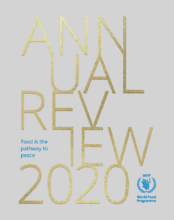 Annual Review 2020