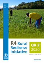 R4 Rural Resilience Quarterly Report - April-June 2020