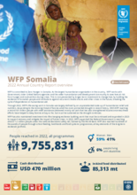 Annual Country Reports - Somalia