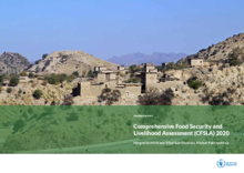 COMPREHENSIVE FOOD SECURITY AND LIVELIHOOD ASSESSMENT (CFSLA)