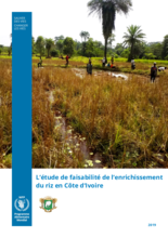 L’étude de faisabilité de l’enrichissement du riz en Côte d’Ivoire 